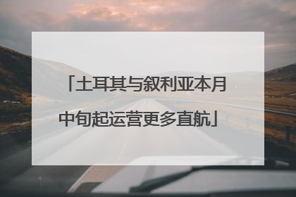 土耳其与叙利亚本月中旬起运营更多直航