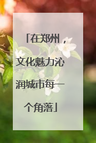 在郑州，文化魅力沁润城市每一个角落