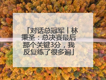 对话总冠军丨林秉圣：总决赛最后那个关键3分，我反复练了很多遍