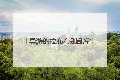 导游的拉布布别乱拿