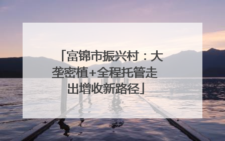 富锦市振兴村：大垄密植+全程托管走出增收新路径