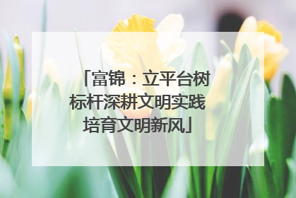 富锦：立平台树标杆深耕文明实践培育文明新风