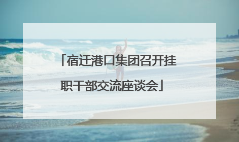 宿迁港口集团召开挂职干部交流座谈会