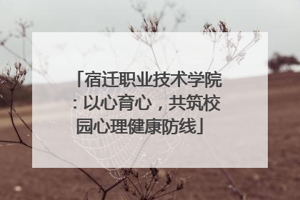 宿迁职业技术学院：以心育心，共筑校园心理健康防线