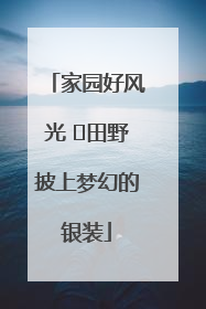 家园好风光 ⎮田野披上梦幻的银装