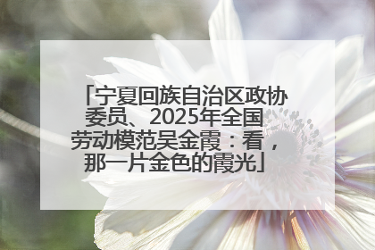 宁夏回族自治区政协委员、2025年全国劳动模范吴金霞：看，那一片金色的霞光