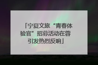 宁夏文旅“青春体验官”招募活动在蓉引发热烈反响