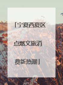 宁夏西夏区 点燃文旅消费新热潮