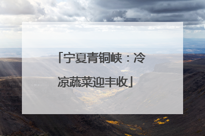 宁夏青铜峡：冷凉蔬菜迎丰收