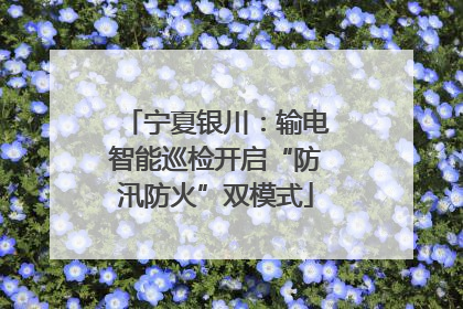 宁夏银川：输电智能巡检开启“防汛防火”双模式