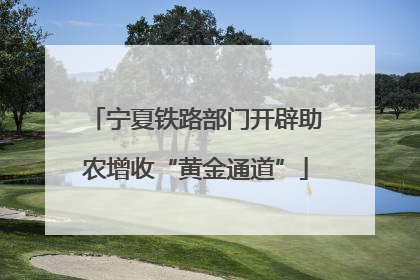 宁夏铁路部门开辟助农增收“黄金通道”