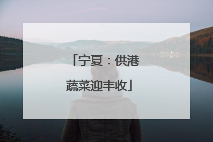 宁夏：供港蔬菜迎丰收