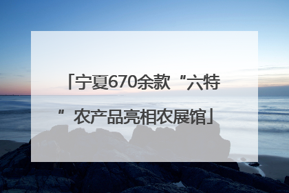 宁夏670余款“六特”农产品亮相农展馆