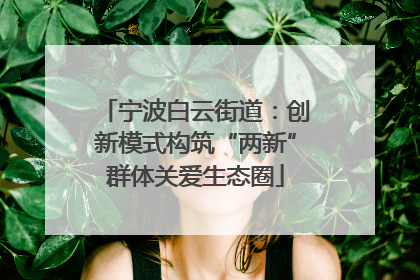 宁波白云街道：创新模式构筑“两新”群体关爱生态圈