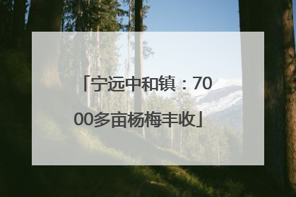 宁远中和镇：7000多亩杨梅丰收