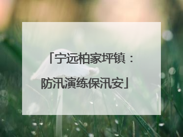 宁远柏家坪镇：防汛演练保汛安