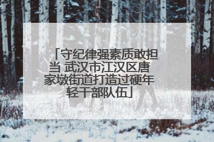 守纪律强素质敢担当 武汉市江汉区唐家墩街道打造过硬年轻干部队伍