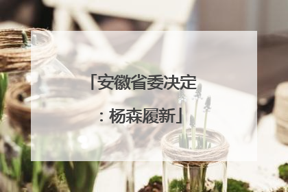 安徽省委决定：杨森履新