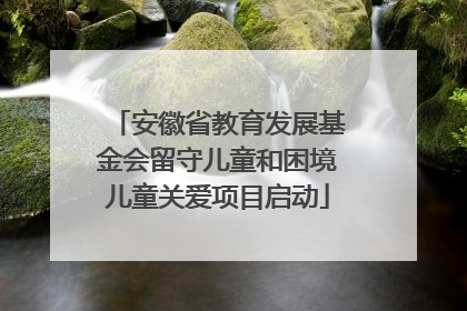 安徽省教育发展基金会留守儿童和困境儿童关爱项目启动