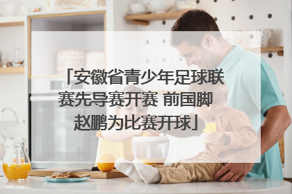 安徽省青少年足球联赛先导赛开赛 前国脚赵鹏为比赛开球