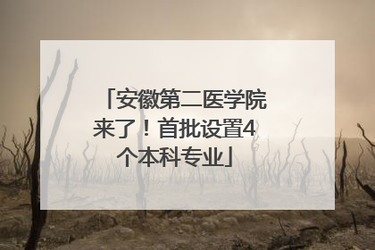 安徽第二医学院来了！首批设置4个本科专业
