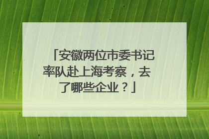 安徽两位市委书记率队赴上海考察，去了哪些企业？