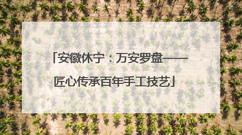 安徽休宁：万安罗盘——匠心传承百年手工技艺