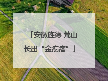 安徽旌德 荒山长出“金疙瘩”