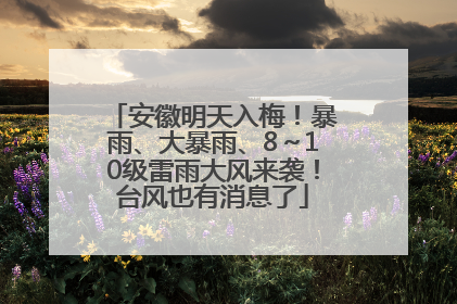 安徽明天入梅！暴雨、大暴雨、8～10级雷雨大风来袭！台风也有消息了