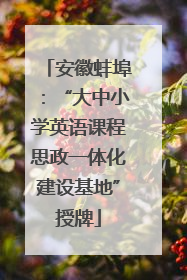 安徽蚌埠：“大中小学英语课程思政一体化建设基地”授牌