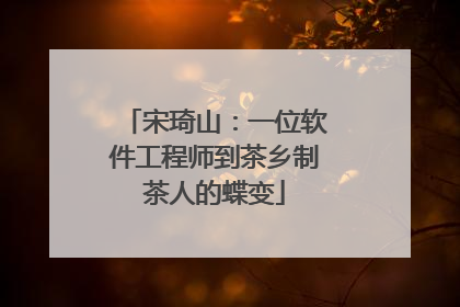 宋琦山：一位软件工程师到茶乡制茶人的蝶变