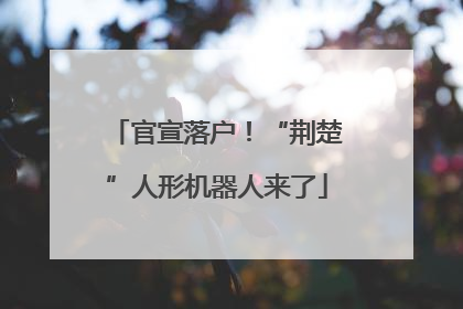 官宣落户！“荆楚”人形机器人来了
