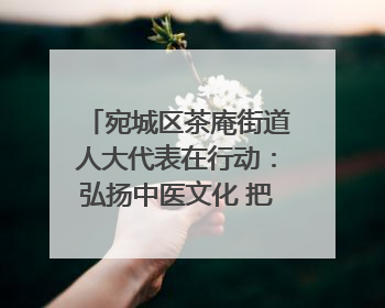 宛城区茶庵街道人大代表在行动：弘扬中医文化 把脉基层健康