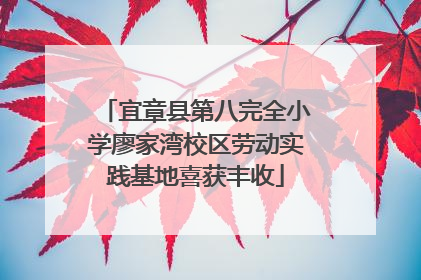 宜章县第八完全小学廖家湾校区劳动实践基地喜获丰收