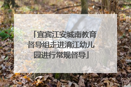 宜宾江安城南教育督导组走进淯江幼儿园进行常规督导