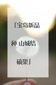 宝岛新品种 山城结硕果