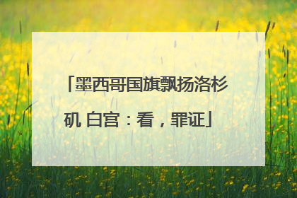 墨西哥国旗飘扬洛杉矶 白宫：看，罪证