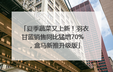 夏季蔬菜又上新！羽衣甘蓝销售同比猛增70%，盒马新推升级版