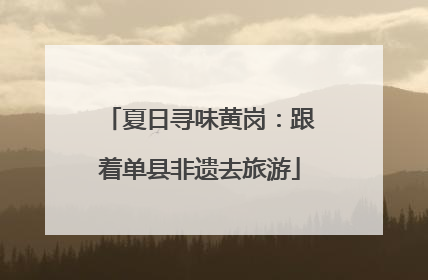 夏日寻味黄岗：跟着单县非遗去旅游