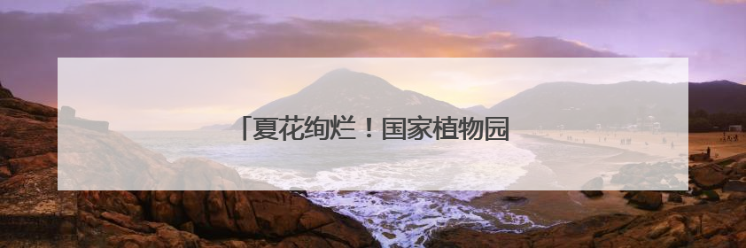 夏花绚烂！国家植物园萱草睡莲等进入盛花期