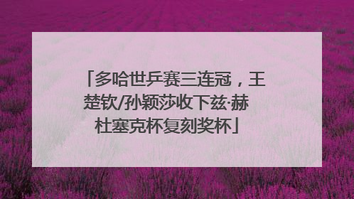 多哈世乒赛三连冠，王楚钦/孙颖莎收下兹·赫杜塞克杯复刻奖杯