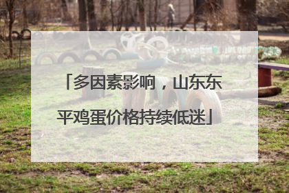 多因素影响，山东东平鸡蛋价格持续低迷