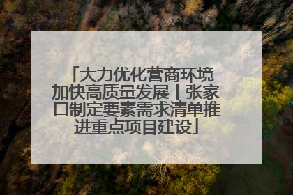 大力优化营商环境 加快高质量发展丨张家口制定要素需求清单推进重点项目建设
