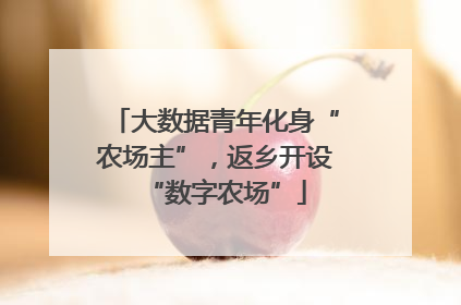 大数据青年化身“农场主”，返乡开设“数字农场”