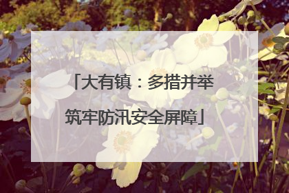 大有镇：多措并举筑牢防汛安全屏障