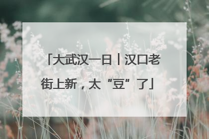 大武汉一日︱汉口老街上新，太“豆”了