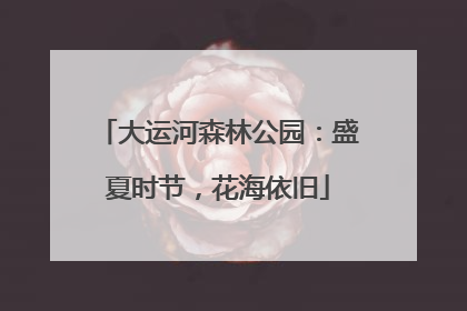 大运河森林公园：盛夏时节，花海依旧