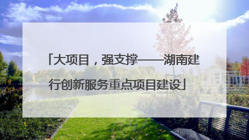 大项目，强支撑——湖南建行创新服务重点项目建设