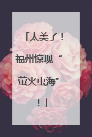 太美了！福州惊现“萤火虫海”！