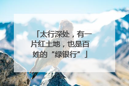 太行深处，有一片红土地，也是百姓的“绿银行”